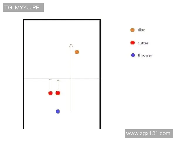 南京飞盘队区域防守策略深度解析与战术应用探讨