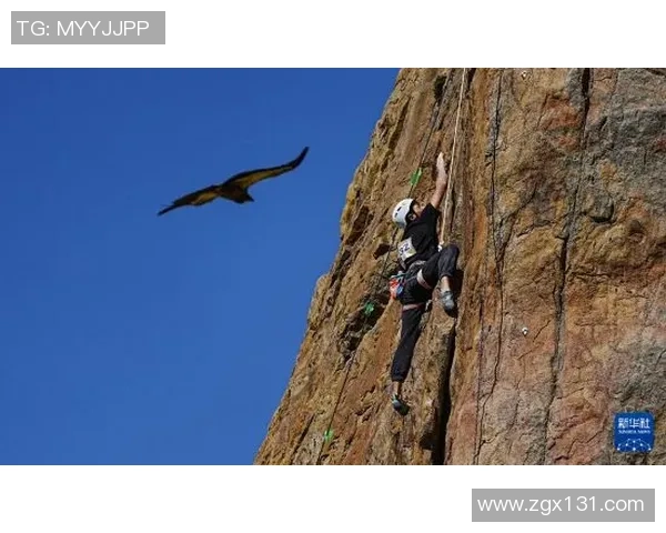 杭州攀岩队与重庆攀岩队技术对比分析赛后复盘